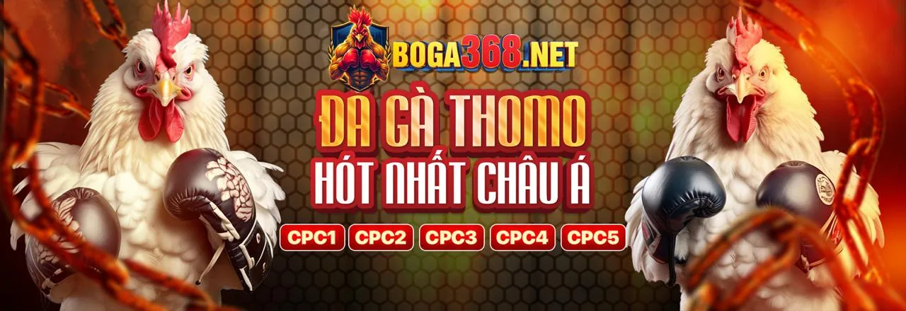 Đá Gà Trực Tuyến Ku11bet